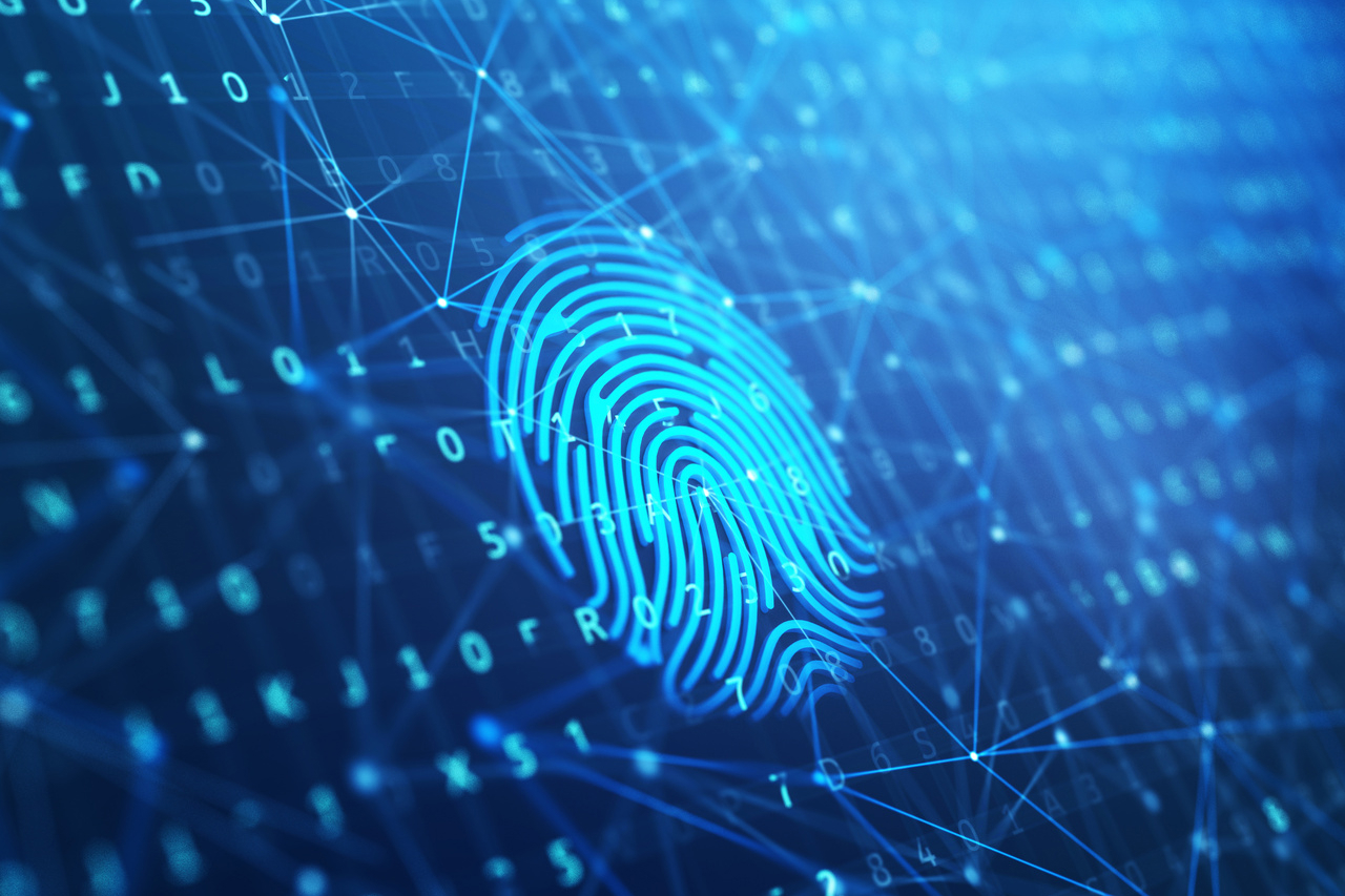 Electronic Fingerprinting